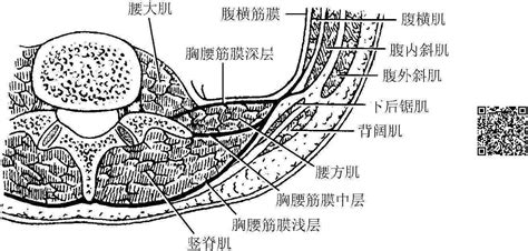 三胸二塞一氣傷